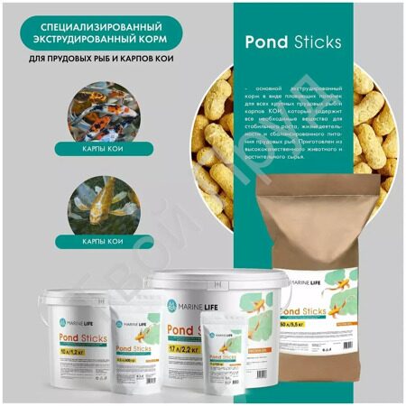 3_pond_sticks.webp