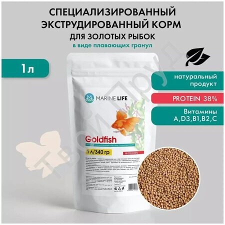 goldfish_1_l.webp